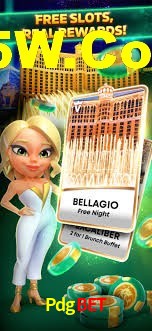Programa VIP Pdgbet